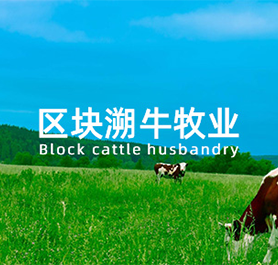 内蒙古溯牛牧业有限公司